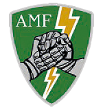 Allied Mobile Force